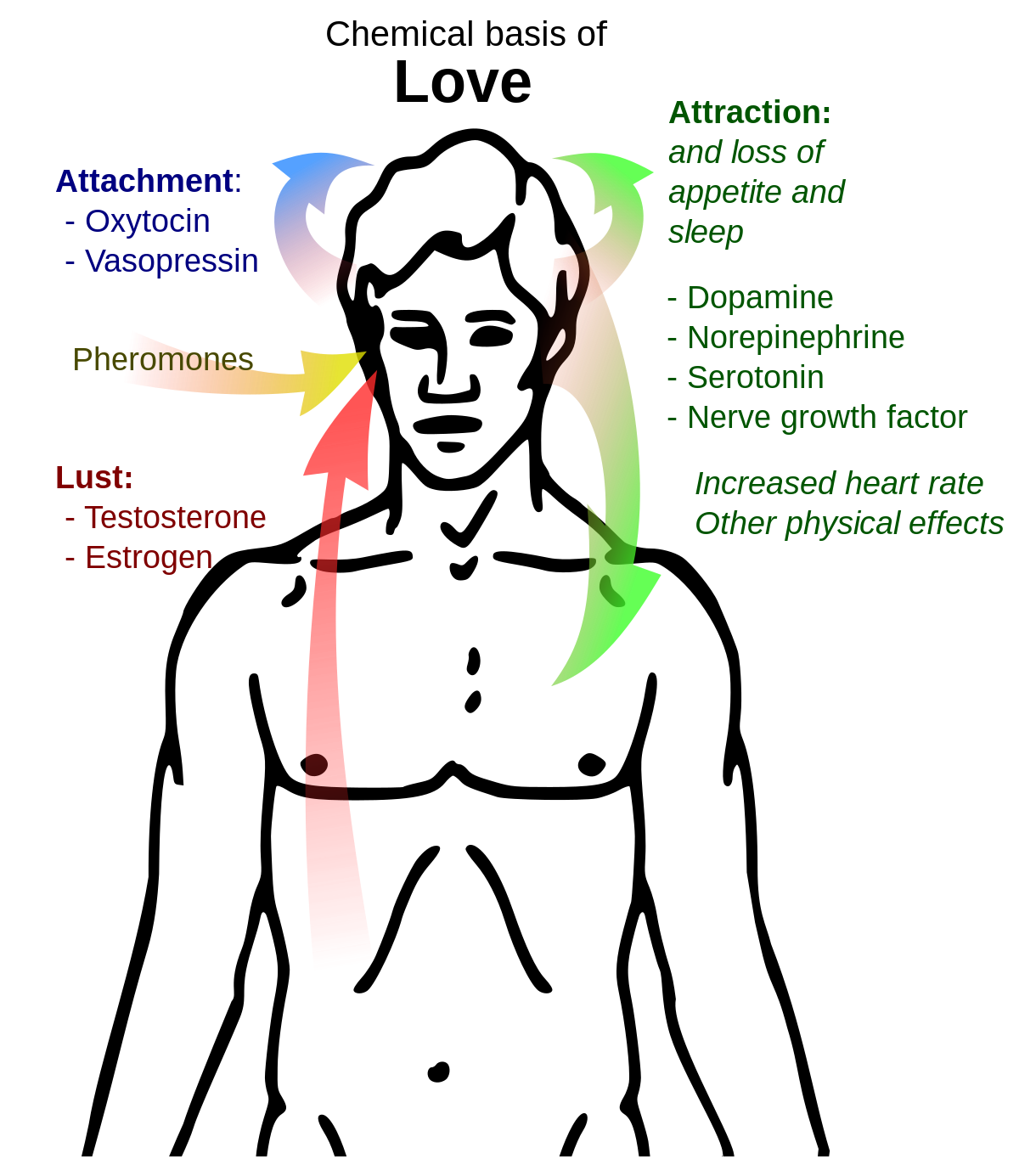 Pheromone party - Wikipedia